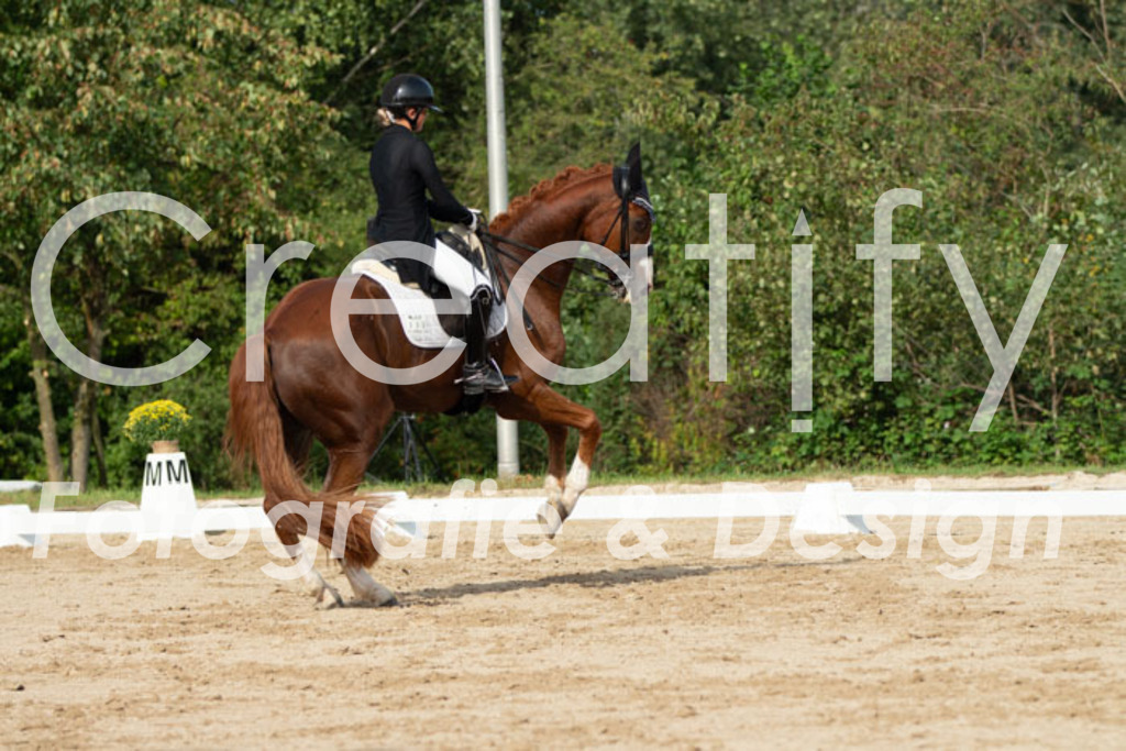 IMG_4309 | Creatify Fotografie