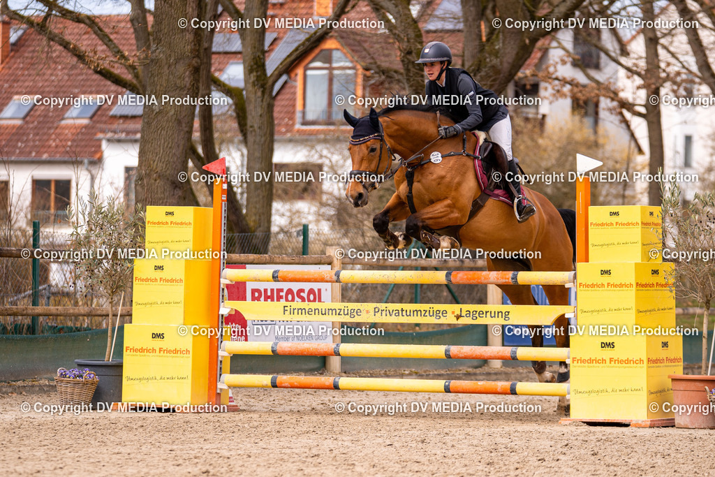 Kranichstein Tag 2-611 | dv-media-shop - Realisiert mit Pictrs.com