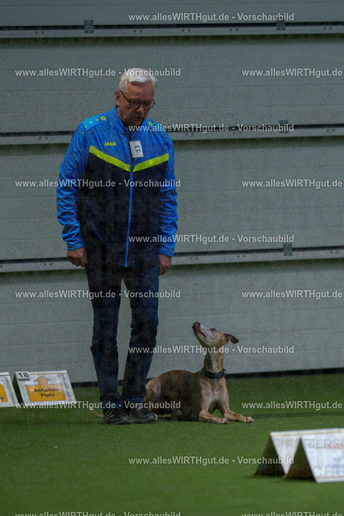 7R500383 | Professionelle Tierfotografie in Mönchengladbach von Daniel Wirth (allesWIRTHgut). Liebevolle & natürliche Bilder von Hunden & Katzen für unvergessliche Erinnerungen.