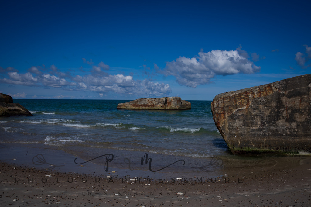 _Sommer2022-0632 | Photographies and more - Realisiert mit Pictrs.com