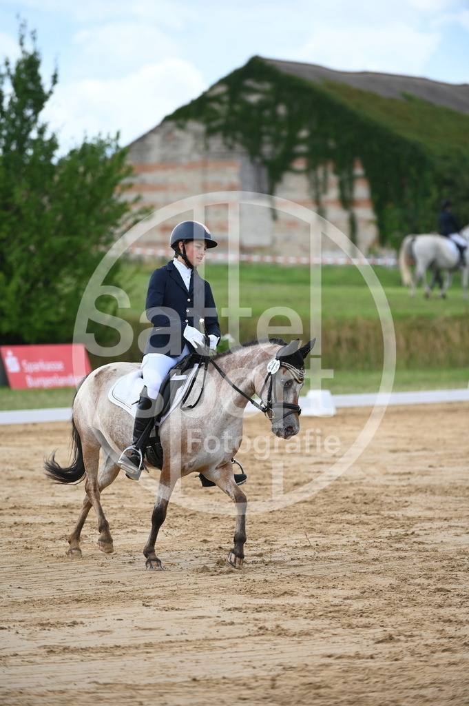 DSC_6216 | sattelsport - Realisiert mit Pictrs.com