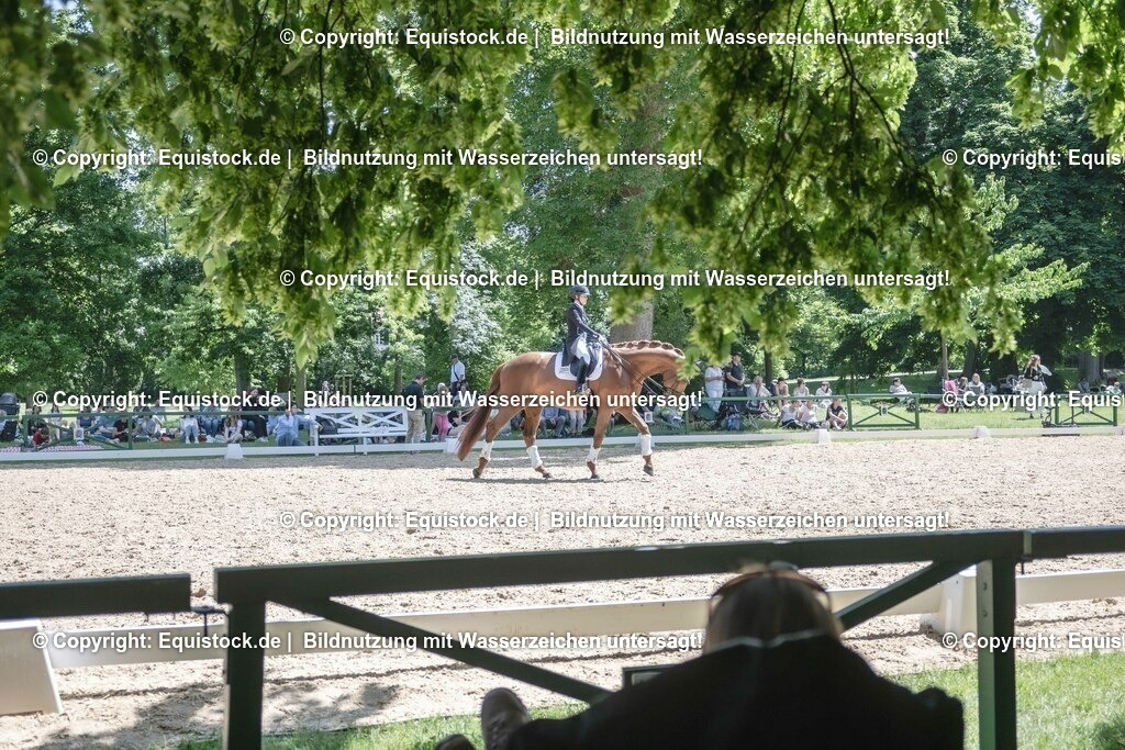 ZFC_4219 | equistock