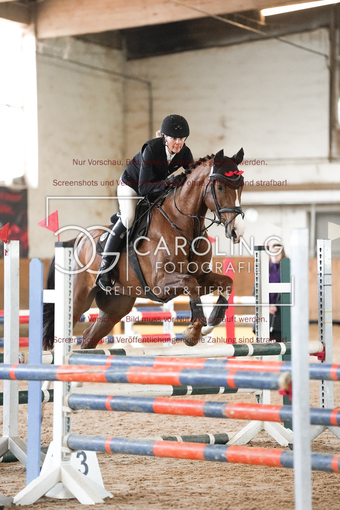 DSC09876 | Reitturnier_Göppingen_April_2026, Merrit_Reiniger, Central_Fox