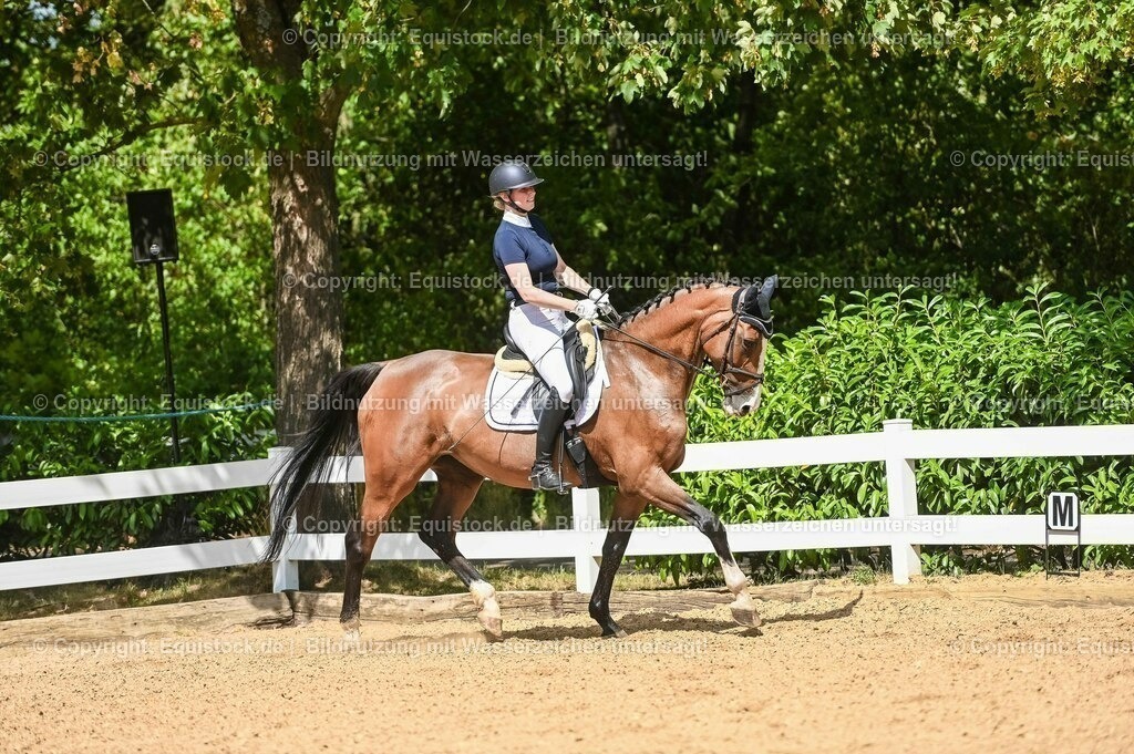 20230715_02_Dressurreiterprüfung Kl.L_0324 | equistock