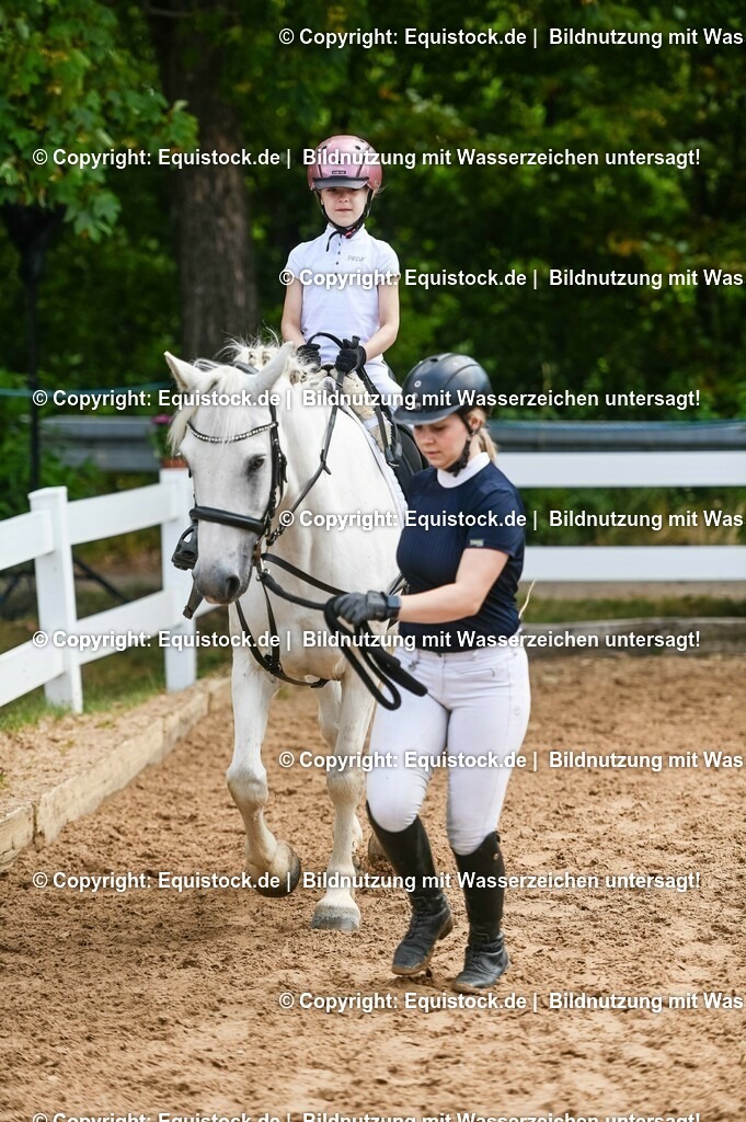 20230716_11_Führzügel-WB_0159 | equistock