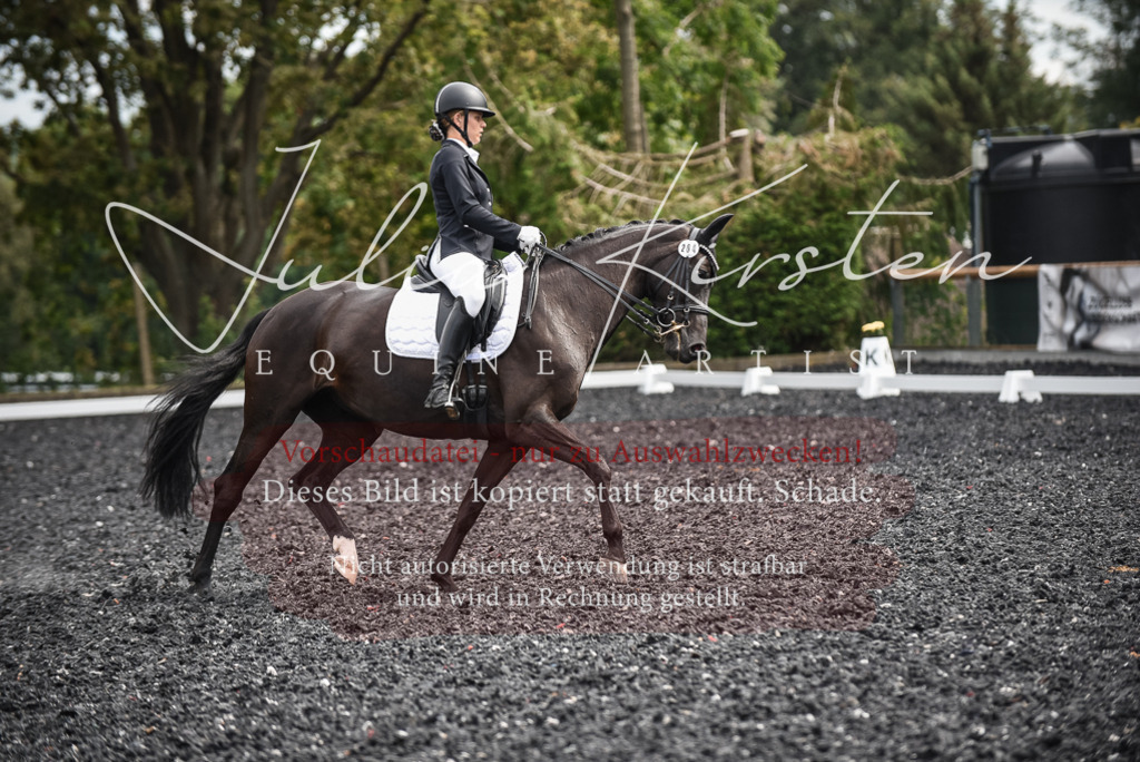 DSC_5056 | Pferde- und Turnierfotografie in Westsachsen. Pferdeportraits, Auftragszeichnungen und intuitive Kunst.
