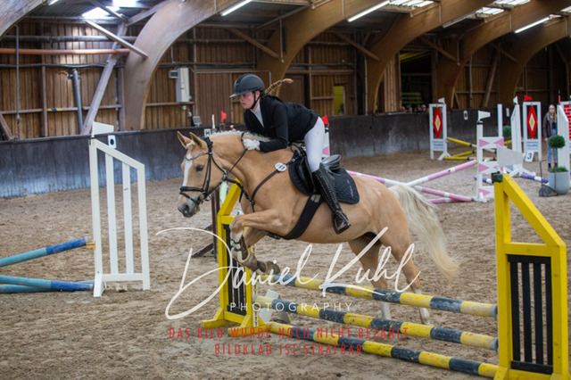 IMG_1842 | Turniersportfotografie; Pferdefotografie; Dressurfotografie