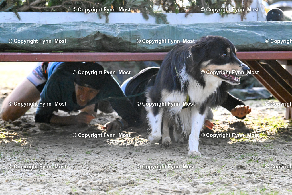 DSC_2842 | Hallo und herzlich Willkommen auf meiner Shop-Seite Fynn Most.

Ich wünsche Dir viel Spaß beim stöbern durch die Bilder, wenn Du Fragen hast oder Bilder vermisst, kannst du mir gerne eine Nachricht schreiben. - Realisiert mit Pictrs.com