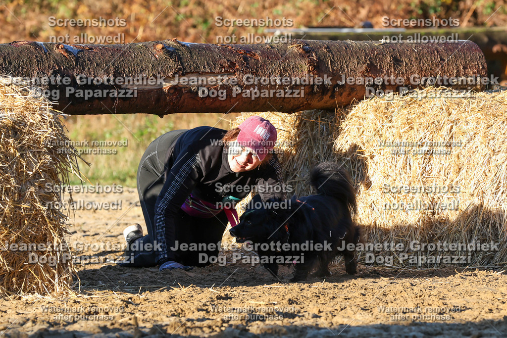 Dog Paparazzi - Strongdog 10-25-999 | Dog Paparazzi Jeanette Grottendiek Fotografie & Videografie - Realisiert mit Pictrs.com