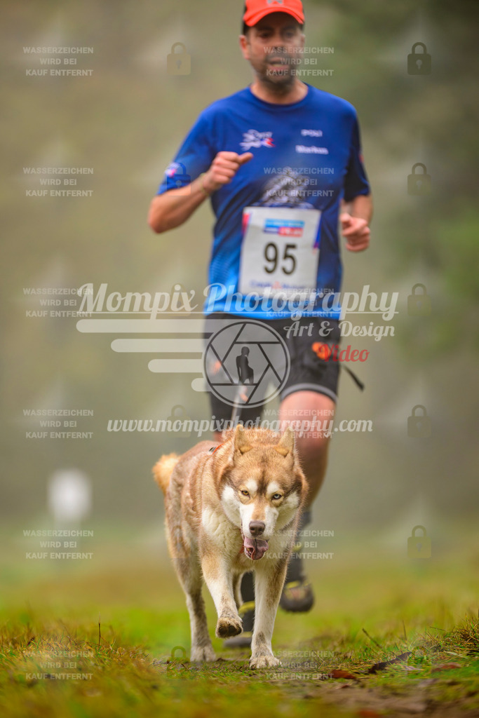 MompixPhotography_Bischwiller2025_Canicross-74 | mompixphotography