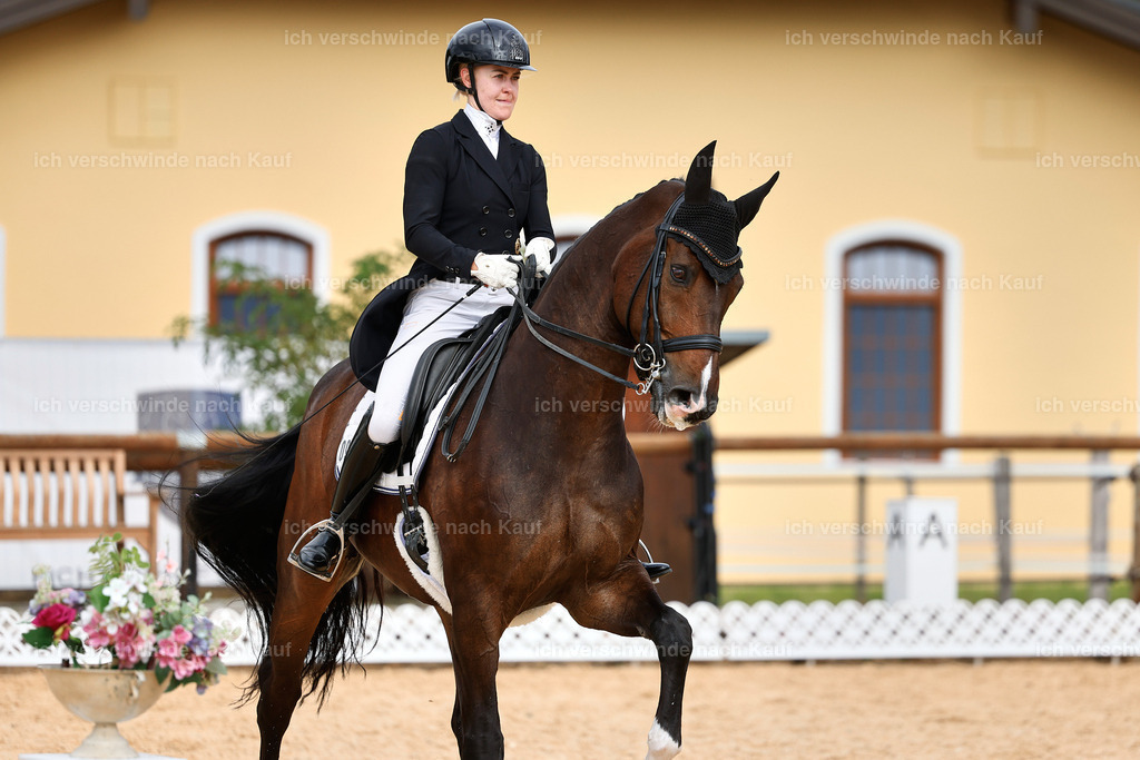 11-091-Dressur S___-StoibPH-1281 | working equitationturnier fotograf videograf stoibphotography marixx film working equitation deutschland reitsport turnierfotografie eventfotografie equestrian events