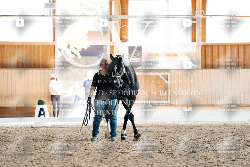 CK907994 | Turnierfotografie Pferdefotografie Trier Rheinland-Pfalz Pferdesport Reitsport Tierfotografie Sportfotografie Pferdevideo Pferdevideografie Equestrianvideography equestrianphotography  - Realisiert mit Pictrs.com
