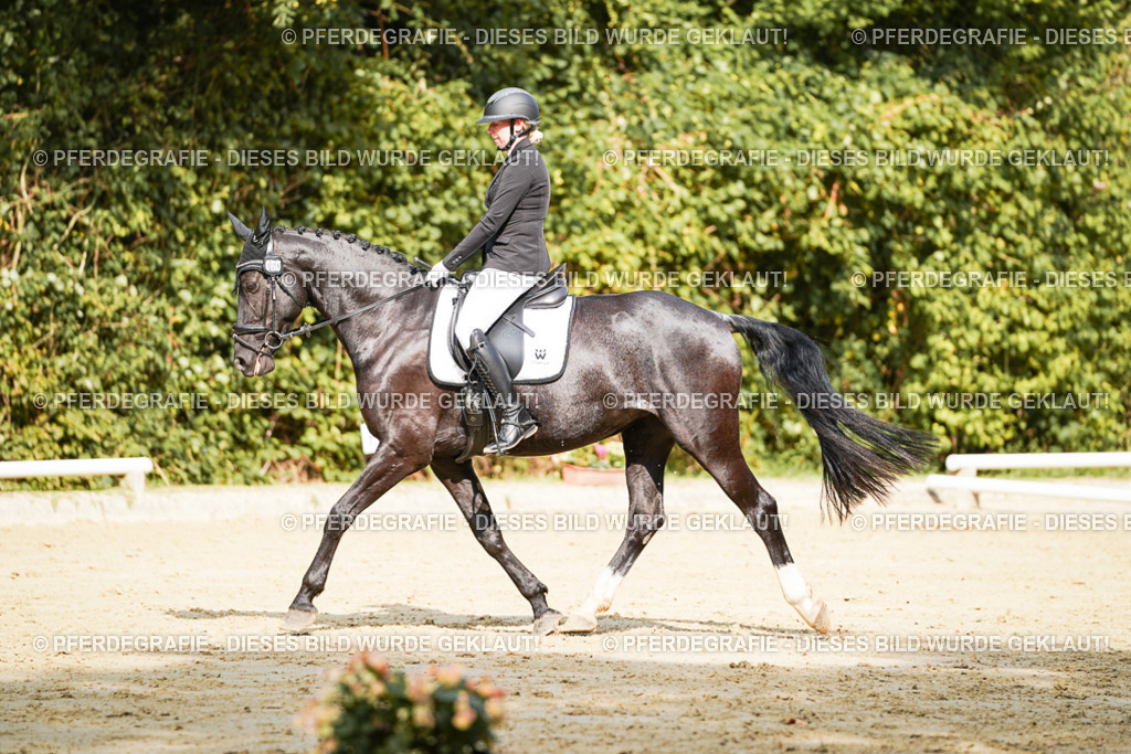 DSC02334 | Pferdegrafie