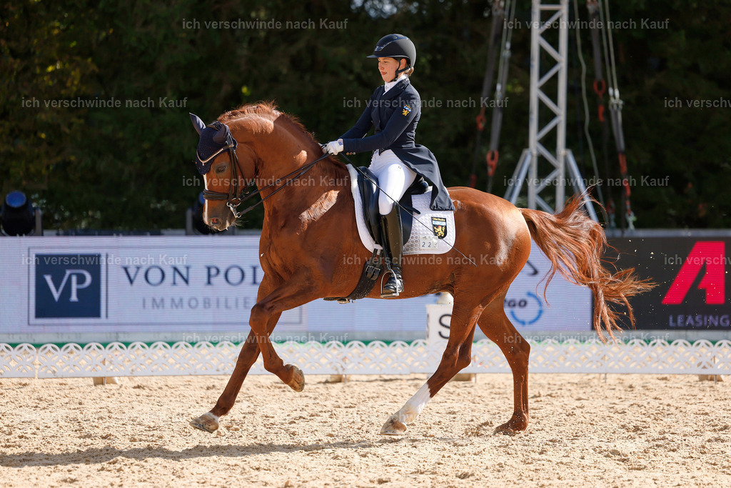 09_2-223-DRESSUR  S_  -StoibPH-5801 | working equitationturnier fotograf videograf stoibphotography marixx film working equitation deutschland reitsport turnierfotografie eventfotografie equestrian events