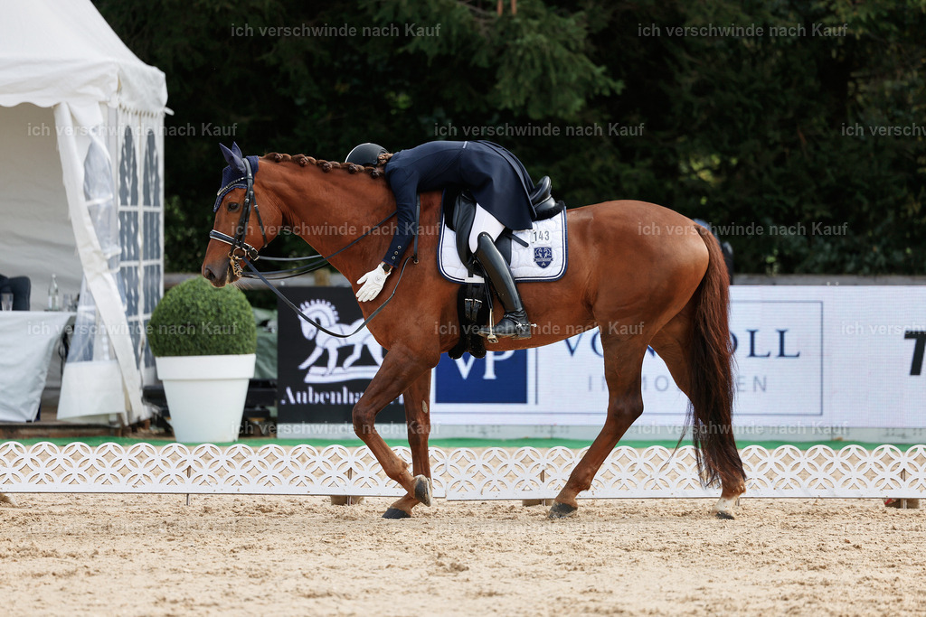 6-143-AMATUER-DRESSUR S_  -StoibPH-3441 | working equitationturnier fotograf videograf stoibphotography marixx film working equitation deutschland reitsport turnierfotografie eventfotografie equestrian events