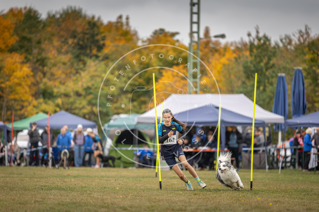 Pfotenfotografie_DV3A5148 | Hundefotografie, Tierfotograf, Pfotenfotografie, Fotoshooting Hund, Hunde Portrait, Hundesport, Hundeportraits, Heideshooting, Hunde, Sportfotograf, Hundefotograf, Turnierhundsport, THS,  - Realisiert mit Pictrs.com
