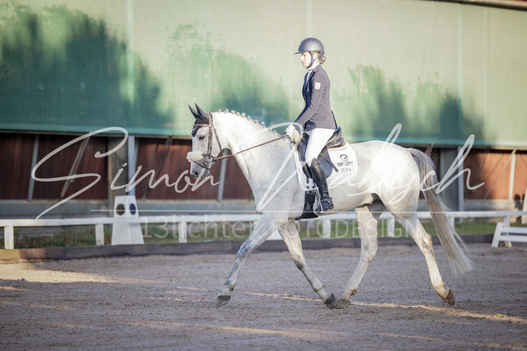 20250906-_3LI2632 | Tierfotografie Pferde, Hunde, Katzen, Haustiere.
Turnierfotografie Reitturniere, Reiten, Springreiten, Dressur in Hanau, dem Main-Kinzig-Kreis und dem Rhein-Main- Gebiet um Frankfurt