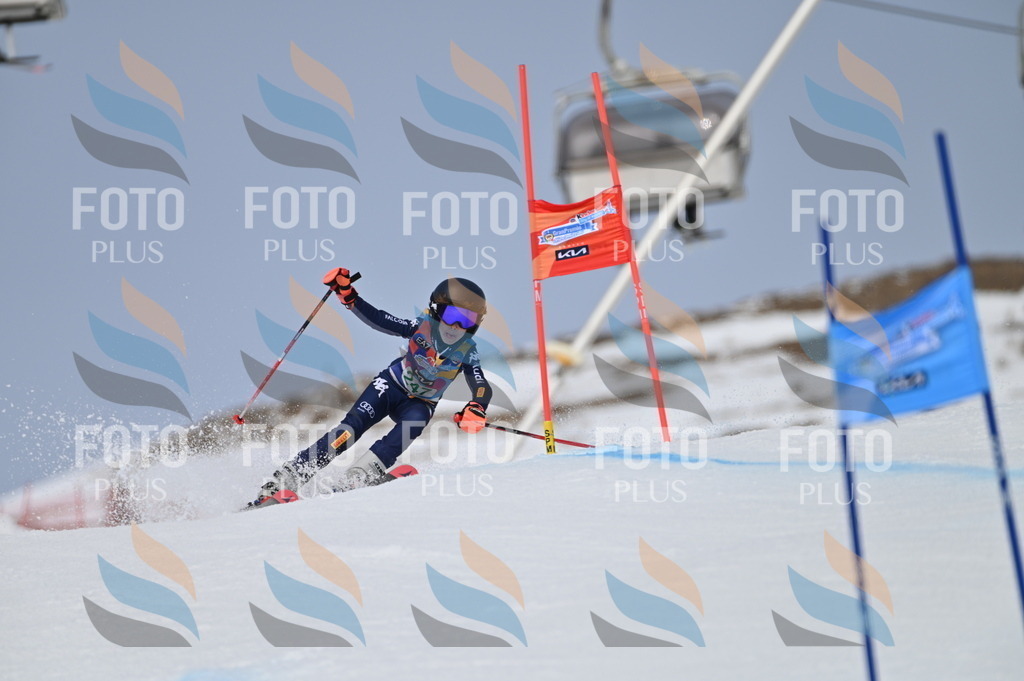 BGV_4885 | holidayphoto