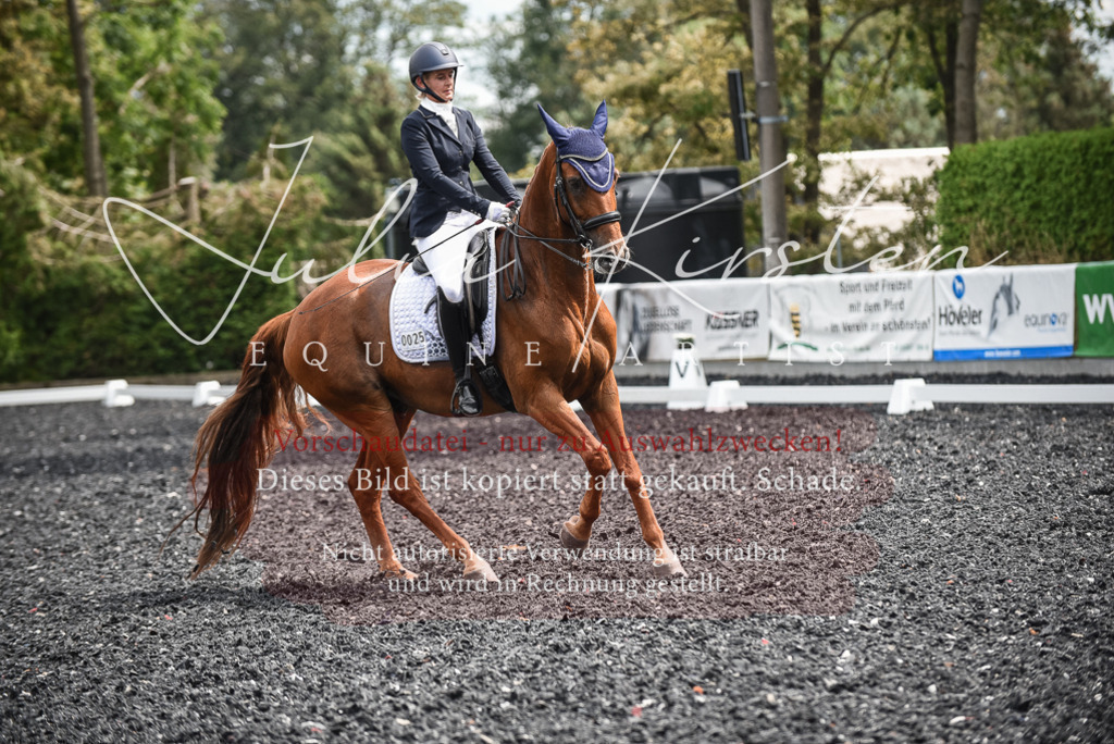 DSC_5047 | Pferde- und Turnierfotografie in Westsachsen. Pferdeportraits, Auftragszeichnungen und intuitive Kunst.