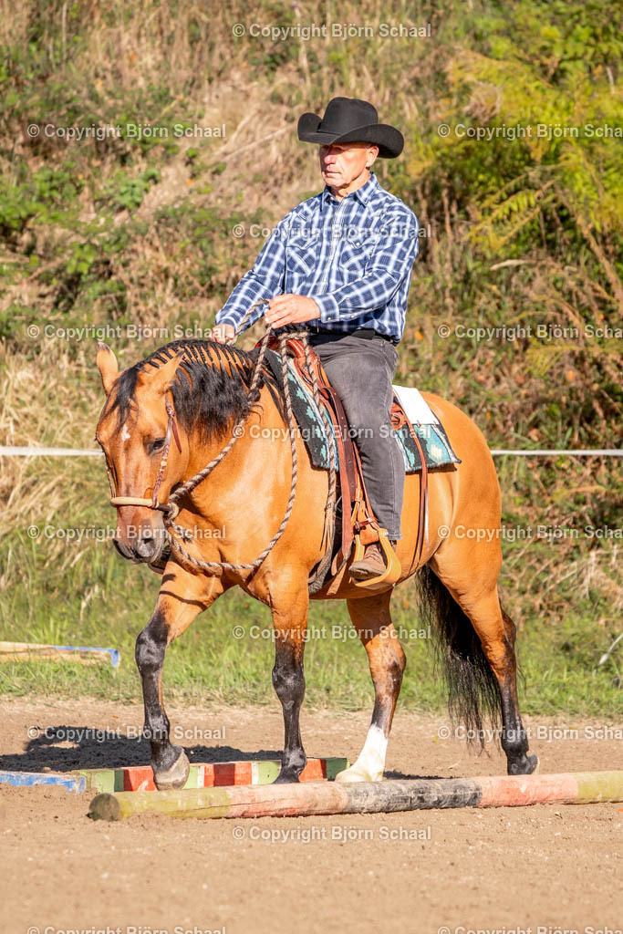 SAL02509 | BS-foto