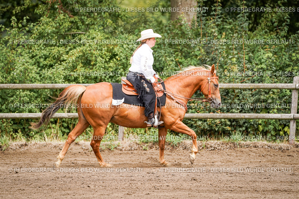 DSC06777 | Pferdegrafie