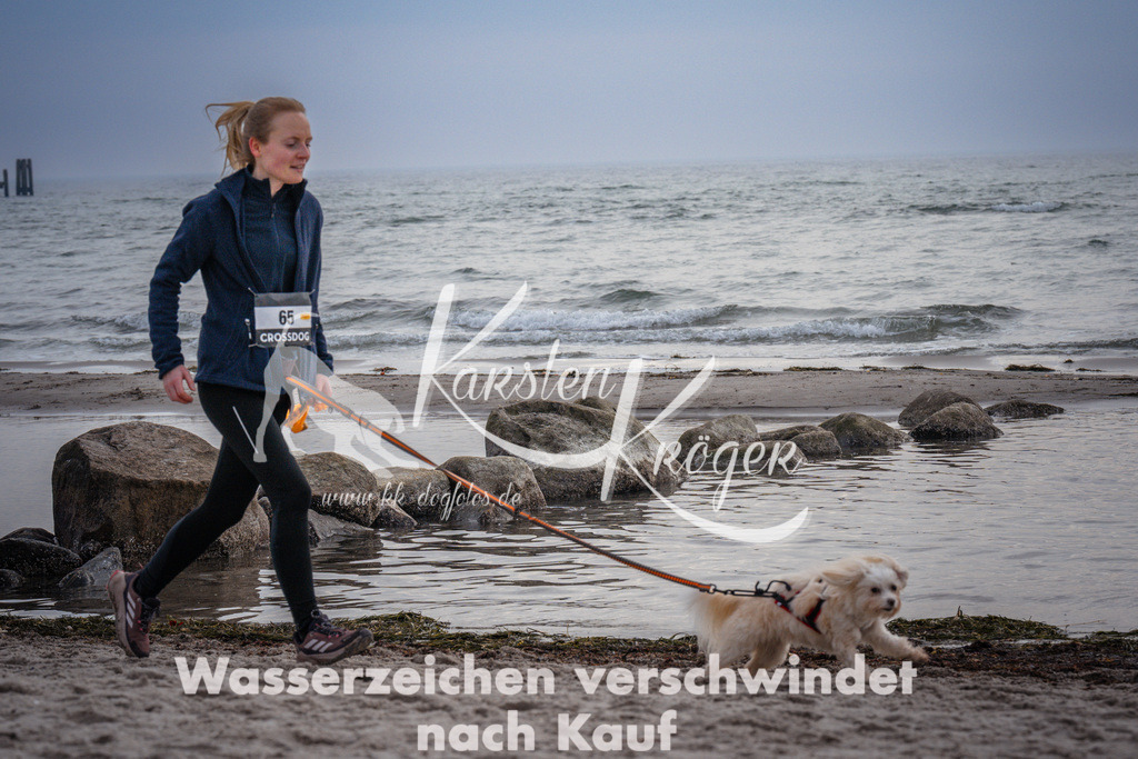 1100_ZZ97130 | kk-dogfotos