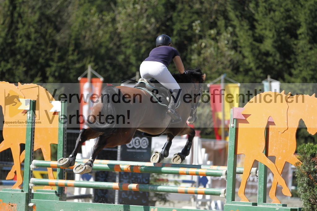 _MG_2847 | equestrian-live-com