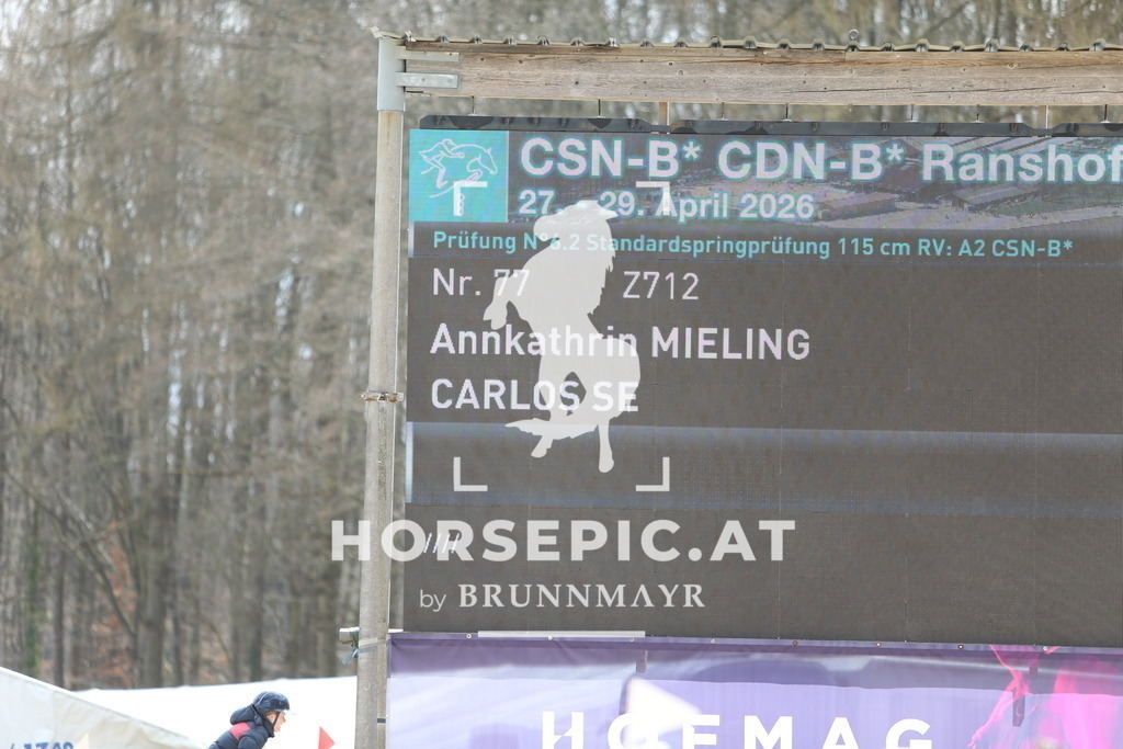 DL2Q9417 | Willkommen bei Brunnmayr - Design & Fotografie – Ihrem Spezialisten für Reitturniere und Pferdeveranstaltungen in Oberösterreich, Salzburg und Bayern! Seit über 17 Jahren sind wir leidenschaftlich dabei.