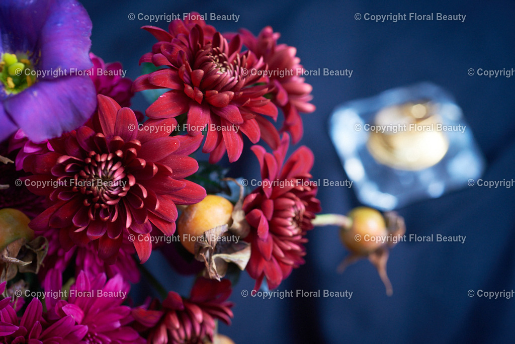 Rot-oranger Strauß aus Nelken und Chrysanthemen | Onlineshop für hochwertige Wandbilder. Bei uns findet ihr selbstgestaltete Blumenmotive. Das perfekte Geschenk, als Praxisdeko oder die eigene Wohnung. Alle künstlerischen Blumenfotos sind auf Leinwand, FineArtPrint, Kunstdruck und vielem mehr zu erwerben - Realisiert mit Pictrs.com