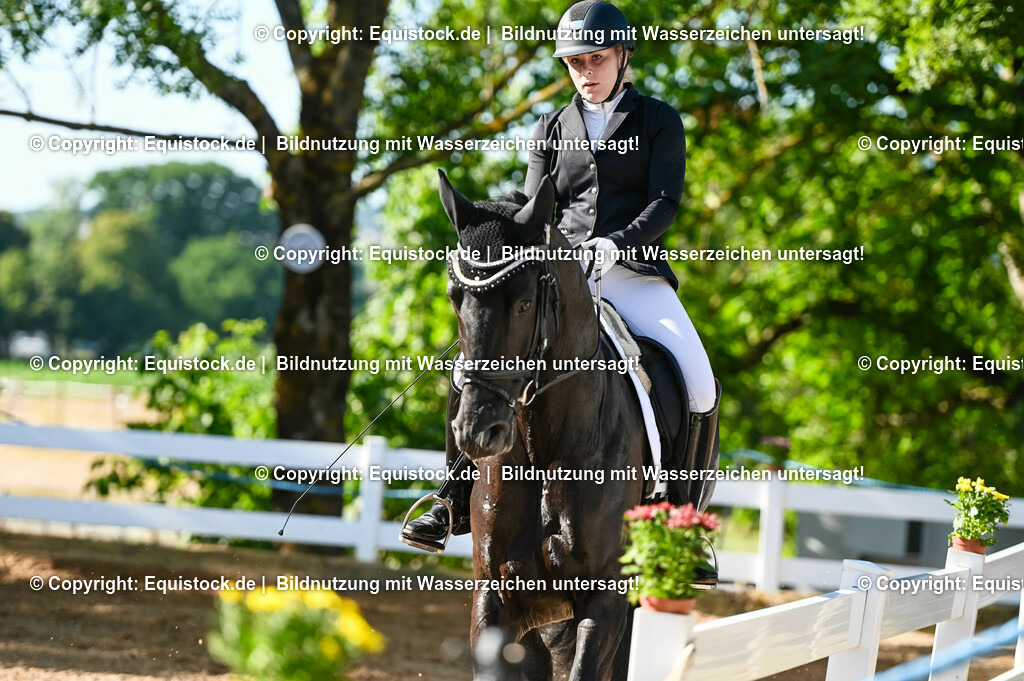 20230715_06_Dressurpferdeprfg. Kl.A_0098 | equistock