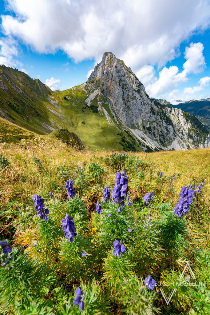 Fotografie_Leo_Schindzielorz_AT_Sommer_Tirol_Gehrenspitze_20210912_A7R04863_org | Atmosphärische Landschaftsbilder & Drohnenaufnahmen aus dem Allgäu, Tirol, Südtirol & der Schweiz – ideal für Leinwanddrucke & zur stilvollen Raumgestaltung. - Realisiert mit Pictrs.com