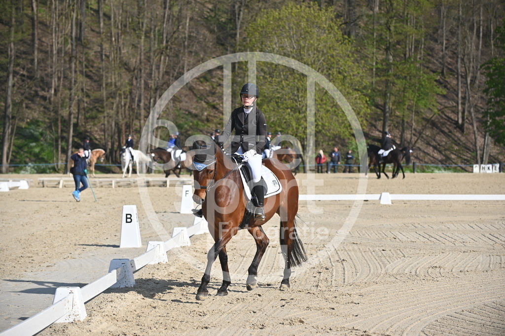 DSC_9999 | sattelsport - Realisiert mit Pictrs.com