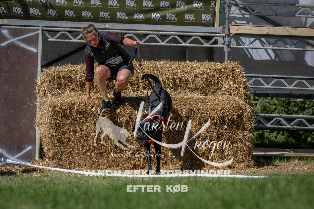 1253_ZZ97098 | kk-dogfotos