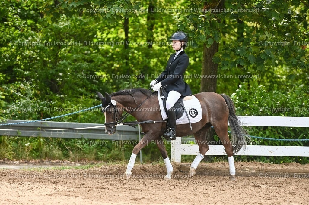 20230716_10-2_Reiter-WB Schritt - Trab - Galopp_0186 | equistock