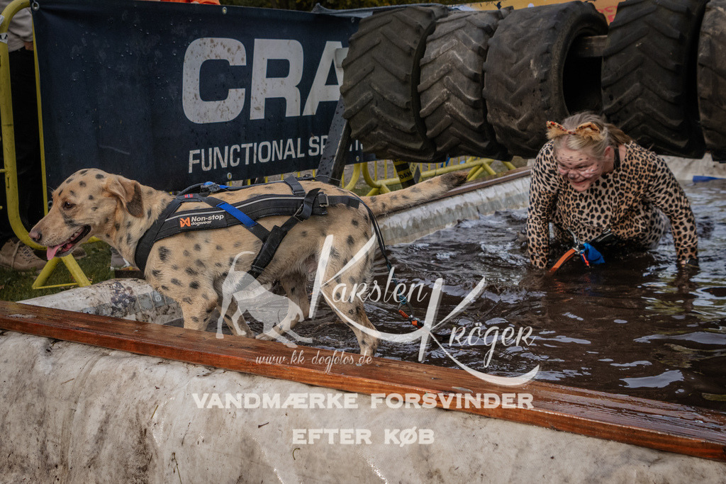 1447_ZZ90251 | kk-dogfotos