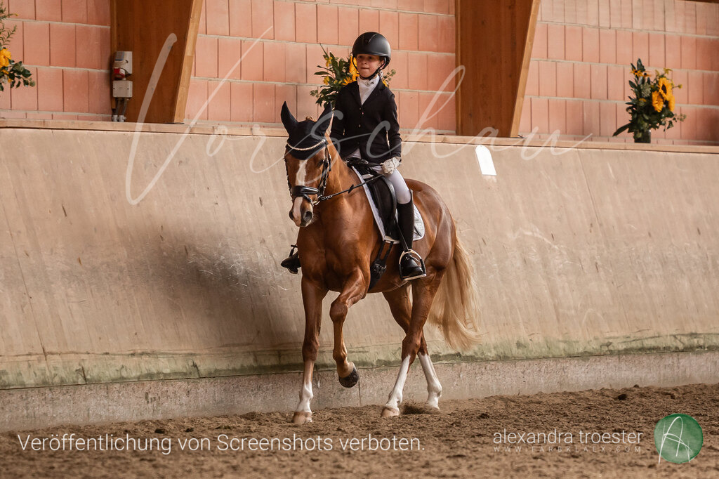 250912_Barop_07_212 | farbklaex.com