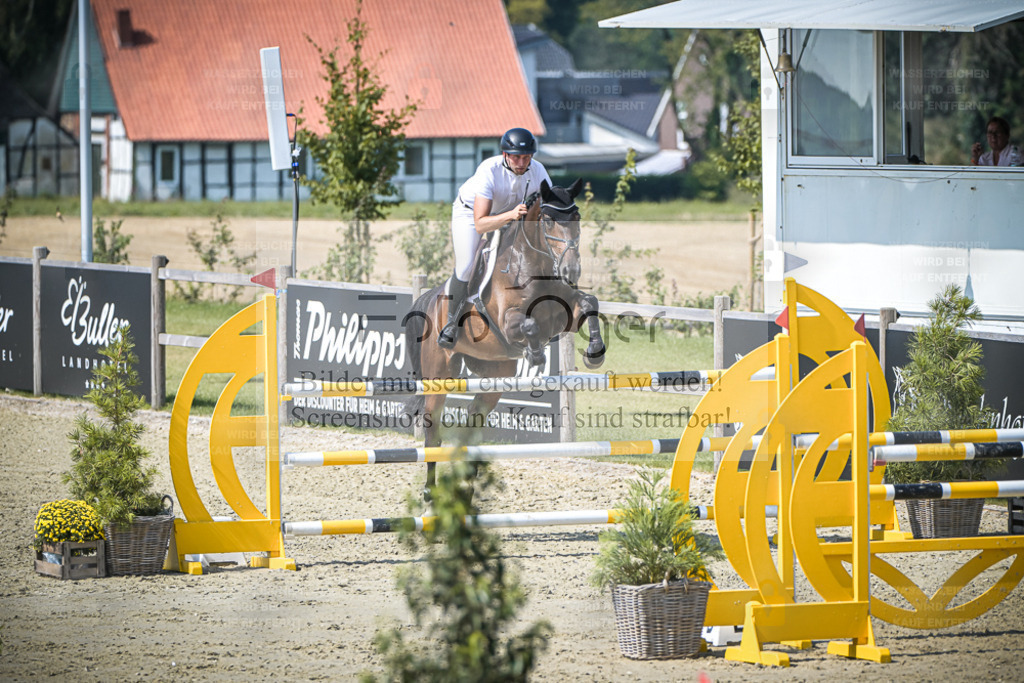 DOS_1901 | Entdecke hochwertige Reitturnierfotos von Foto Oger. Professionell, emotional und authentisch – jetzt Lieblingsmomente im Shop bestellen. - Realisiert mit Pictrs.com