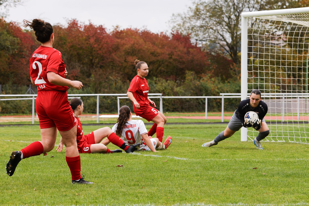 FCEFCH_251012_3712 | Fotopresso – Sportfotografie in Heidenheim & Umgebung. Professionelle Sportfotografie für unvergessliche Momente. Dynamische Action-Shots, emotionale Szenen & hochwertige Bilder. - Realisiert mit Pictrs.com