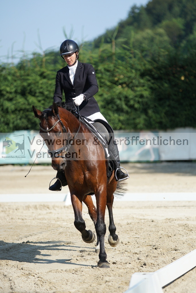 DSC01315 | equestrian-live-com