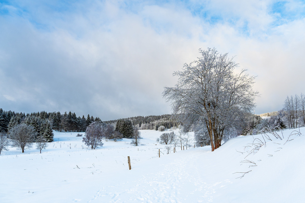 Landschaft im Winter im Thüringer Wald in der Nähe von Schmiedefeld am Rennsteig | Landschaft im Winter im Thüringer Wald in der Nähe von Schmiedefeld am Rennsteig.