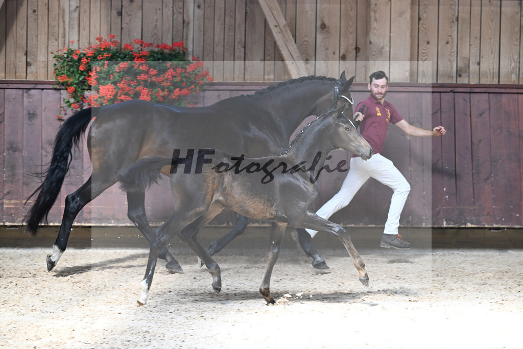 Kat-Nr. 14 Goldberg x Luberon_SF_Wagner_25250337 | hf-fotografie - Realisiert mit Pictrs.com
