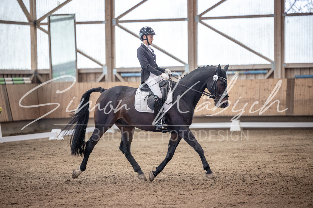 20251011-_3LI9966 | Tierfotografie Pferde, Hunde, Katzen, Haustiere.
Turnierfotografie Reitturniere, Reiten, Springreiten, Dressur in Hanau, dem Main-Kinzig-Kreis und dem Rhein-Main- Gebiet um Frankfurt
