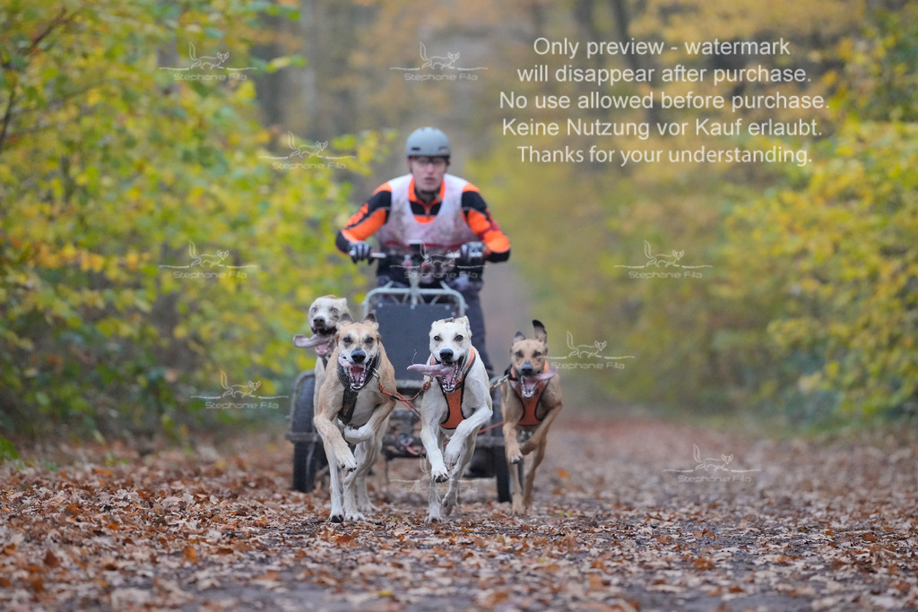 Rigs4bis8So-18 | stephaniefillaphotographie - Realisiert mit Pictrs.com