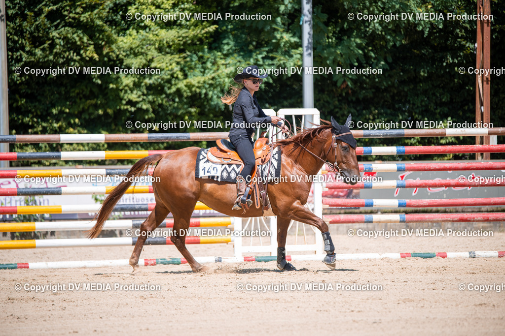 ZS1_1133 | dv-media-shop - Realisiert mit Pictrs.com