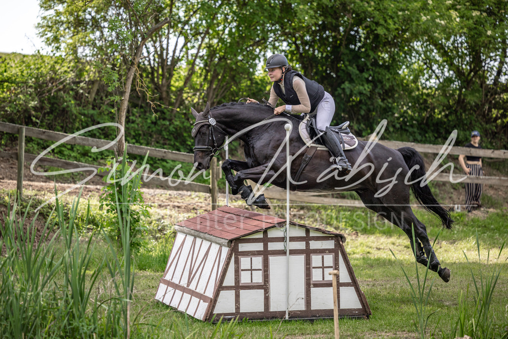20260523-_3LI9900 | Tierfotografie Pferde, Hunde, Katzen, Haustiere.
Turnierfotografie Reitturniere, Reiten, Springreiten, Dressur in Hanau, dem Main-Kinzig-Kreis und dem Rhein-Main- Gebiet um Frankfurt