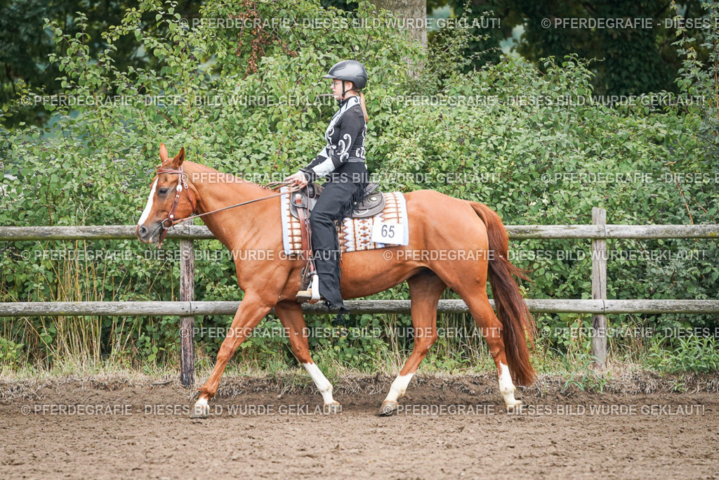 DSC01894 | Pferdegrafie