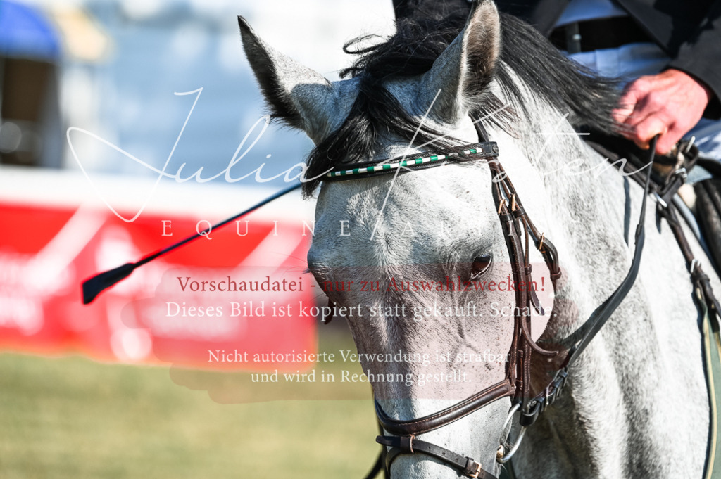 DSC_7484 | Pferde- und Turnierfotografie in Westsachsen. Pferdeportraits, Auftragszeichnungen und intuitive Kunst.