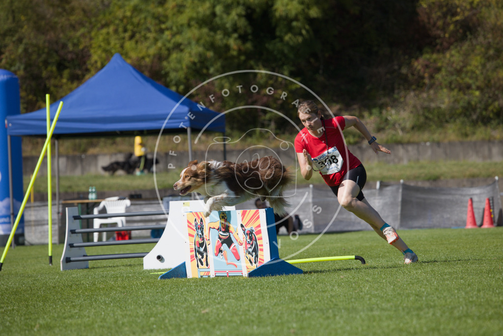 0L8A8075 | Hundefotografie, Tierfotograf, Pfotenfotografie, Fotoshooting Hund, Hunde Portrait, Hundesport, Hundeportraits, Heideshooting, Hunde, Sportfotograf, Hundefotograf, Turnierhundsport, THS,  - Realisiert mit Pictrs.com