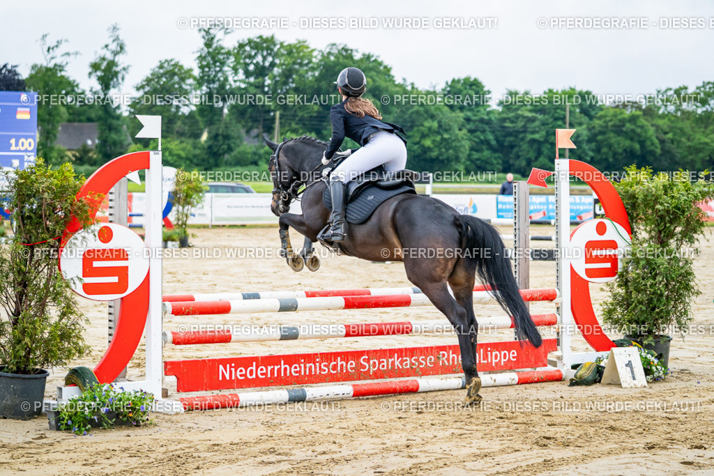 DSC01161 | Pferdegrafie