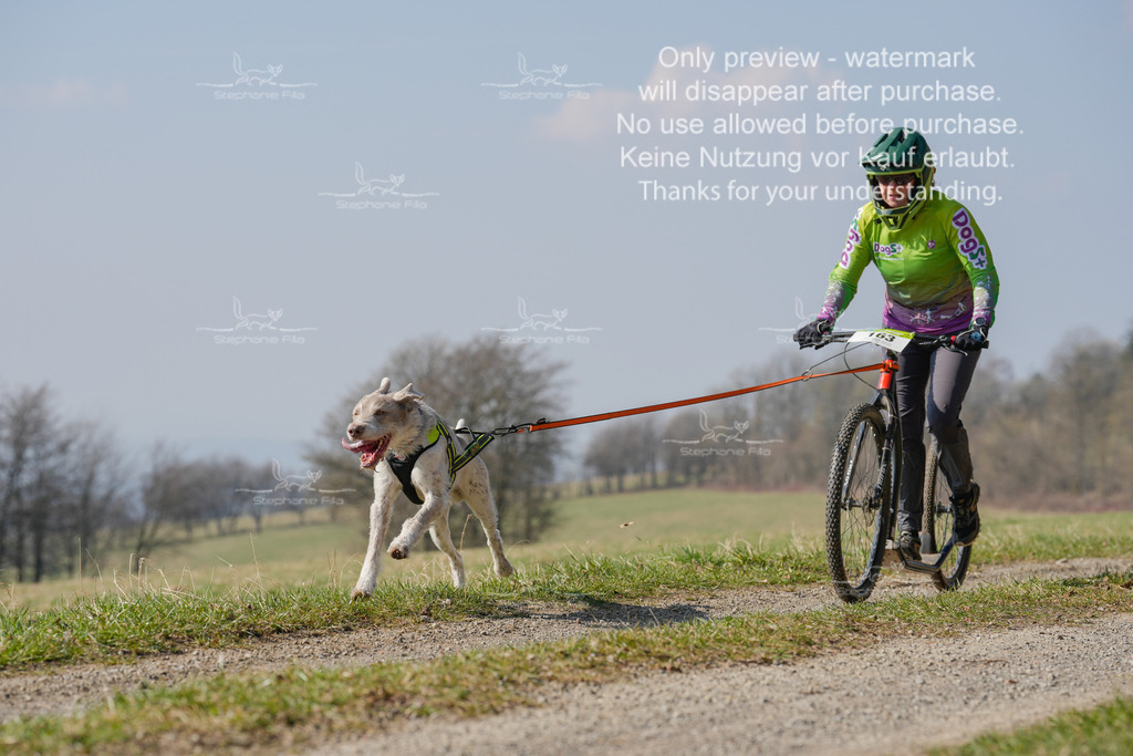 Scooter_Lang-148 | stephaniefillaphotographie - Realisiert mit Pictrs.com